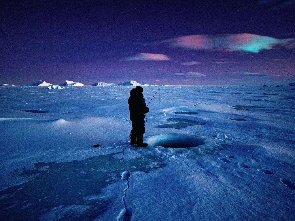 Scale of arctic